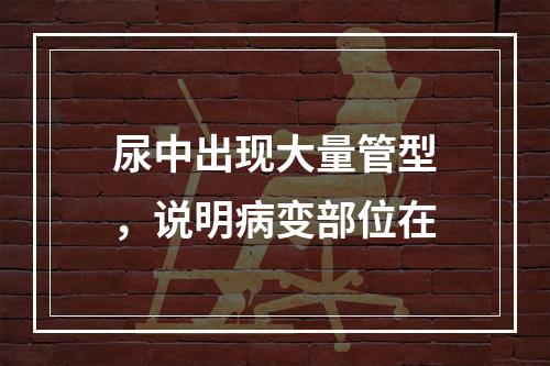 尿中出现大量管型，说明病变部位在