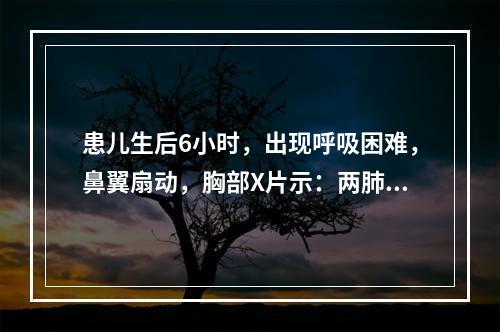 患儿生后6小时，出现呼吸困难，鼻翼扇动，胸部X片示：两肺呈毛