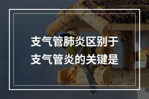 支气管肺炎区别于支气管炎的关键是