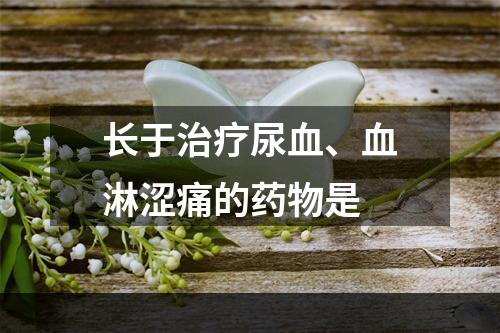 长于治疗尿血、血淋涩痛的药物是