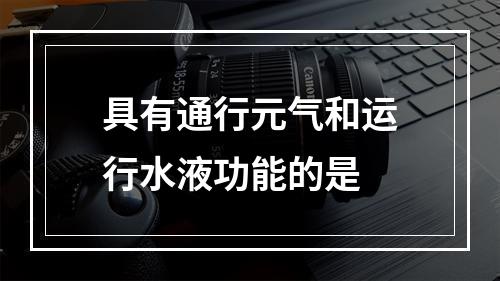 具有通行元气和运行水液功能的是