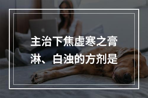 主治下焦虚寒之膏淋、白浊的方剂是