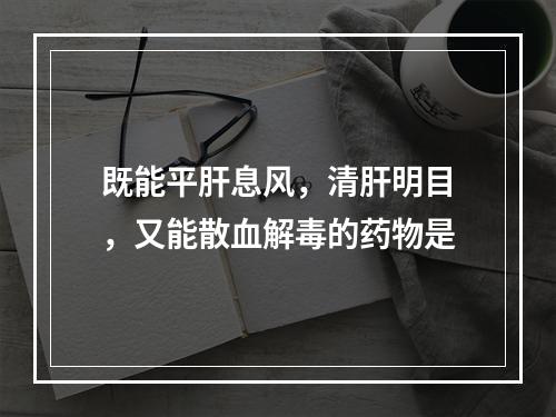 既能平肝息风，清肝明目，又能散血解毒的药物是