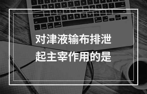 对津液输布排泄起主宰作用的是