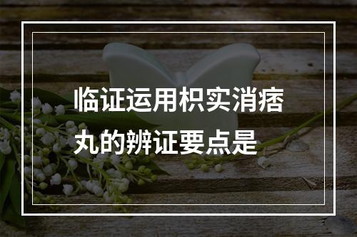 临证运用枳实消痞丸的辨证要点是