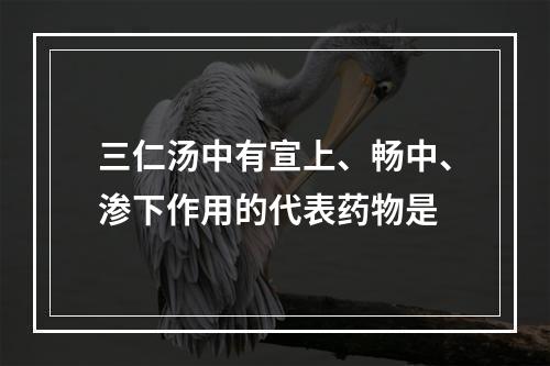 三仁汤中有宣上、畅中、渗下作用的代表药物是