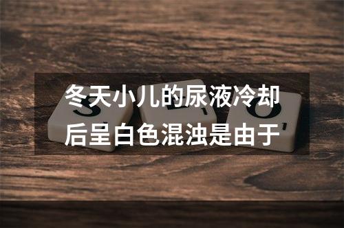 冬天小儿的尿液冷却后呈白色混浊是由于