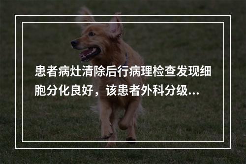 患者病灶清除后行病理检查发现细胞分化良好，该患者外科分级属于