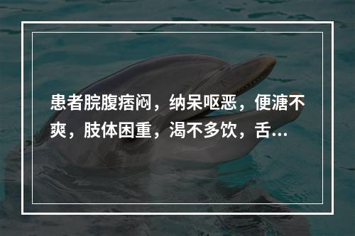 患者脘腹痞闷，纳呆呕恶，便溏不爽，肢体困重，渴不多饮，舌红，