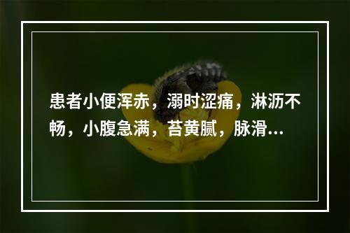 患者小便浑赤，溺时涩痛，淋沥不畅，小腹急满，苔黄腻，脉滑数，