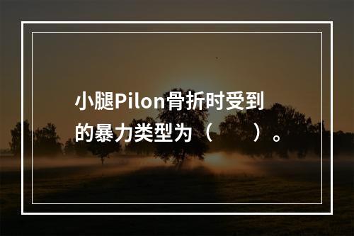 小腿Pilon骨折时受到的暴力类型为（　　）。