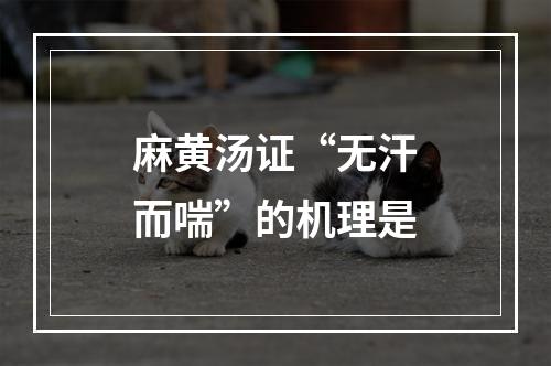 麻黄汤证“无汗而喘”的机理是