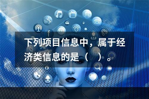 下列项目信息中，属于经济类信息的是（　）。