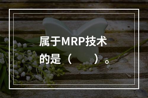 属于MRP技术的是（　　）。