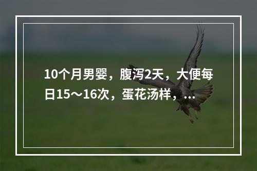 10个月男婴，腹泻2天，大便每日15～16次，蛋花汤样，精神