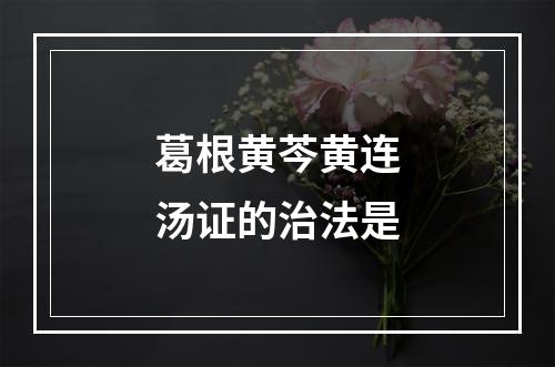 葛根黄芩黄连汤证的治法是