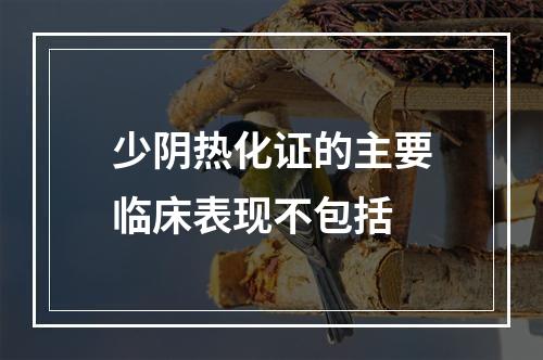 少阴热化证的主要临床表现不包括