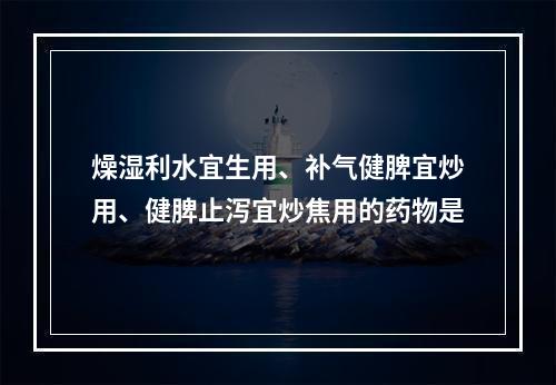 燥湿利水宜生用、补气健脾宜炒用、健脾止泻宜炒焦用的药物是