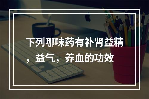 下列哪味药有补肾益精，益气，养血的功效