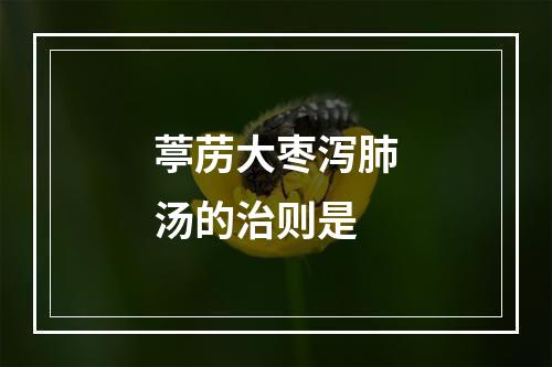 葶苈大枣泻肺汤的治则是