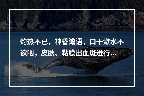 灼热不已，神昏谵语，口干漱水不欲咽，皮肤、黏膜出血斑进行性扩