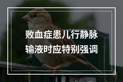 败血症患儿行静脉输液时应特别强调