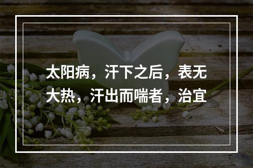 太阳病，汗下之后，表无大热，汗出而喘者，治宜