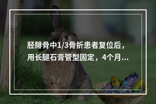 胫腓骨中1/3骨折患者复位后，用长腿石膏管型固定，4个月骨折