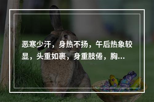 恶寒少汗，身热不扬，午后热象较显，头重如裹，身重肢倦，胸闷脘