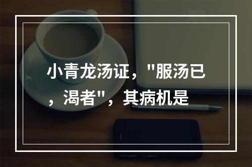 小青龙汤证，