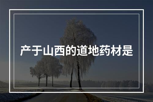 产于山西的道地药材是