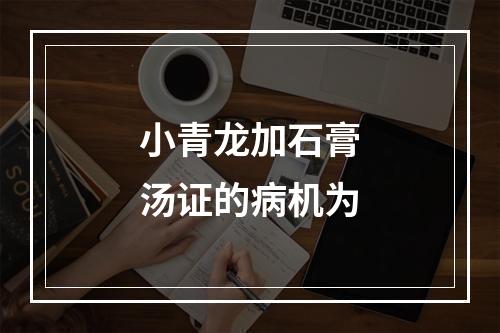 小青龙加石膏汤证的病机为