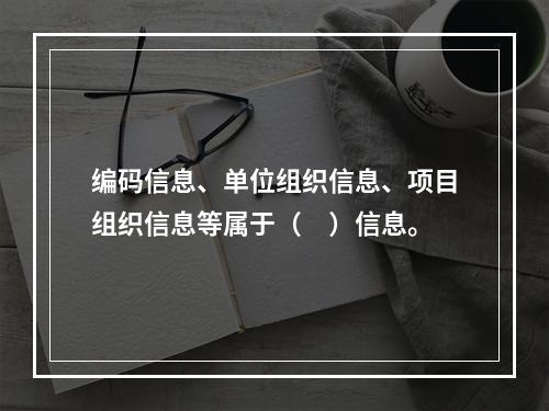 编码信息、单位组织信息、项目组织信息等属于（　）信息。