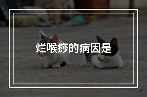 烂喉痧的病因是