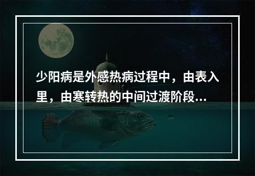 少阳病是外感热病过程中，由表入里，由寒转热的中间过渡阶段，其