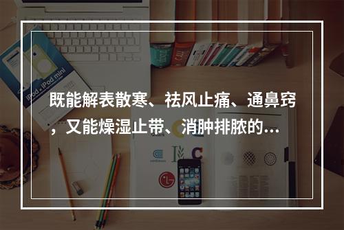 既能解表散寒、祛风止痛、通鼻窍，又能燥湿止带、消肿排脓的药物