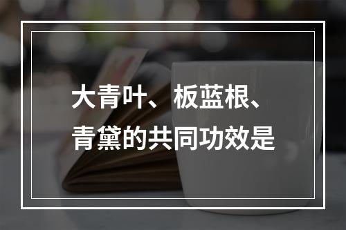 大青叶、板蓝根、青黛的共同功效是