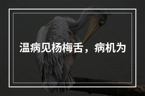 温病见杨梅舌，病机为