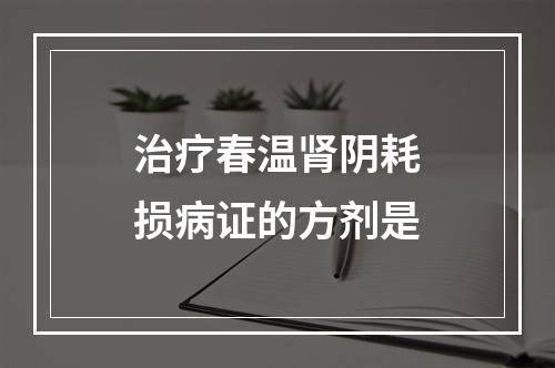 治疗春温肾阴耗损病证的方剂是