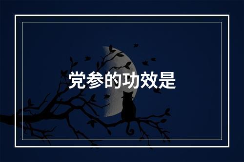 党参的功效是