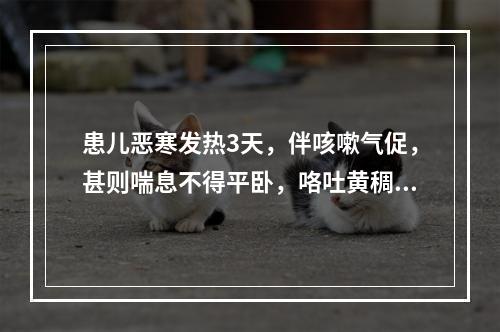 患儿恶寒发热3天，伴咳嗽气促，甚则喘息不得平卧，咯吐黄稠痰，