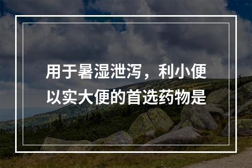 用于暑湿泄泻，利小便以实大便的首选药物是