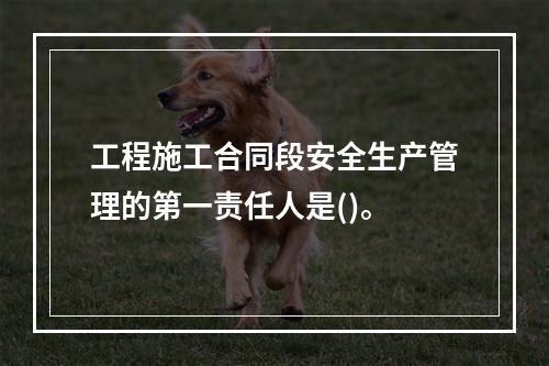 工程施工合同段安全生产管理的第一责任人是()。