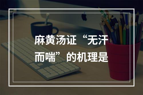 麻黄汤证“无汗而喘”的机理是