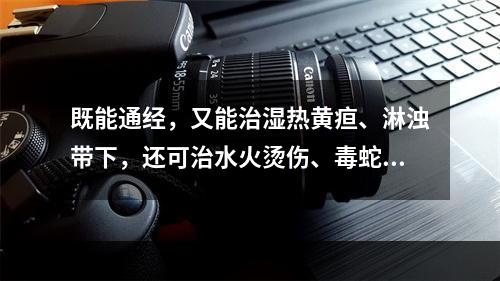 既能通经，又能治湿热黄疸、淋浊带下，还可治水火烫伤、毒蛇咬伤