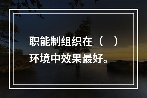 职能制组织在（　）环境中效果最好。