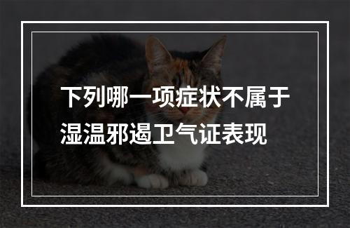 下列哪一项症状不属于湿温邪遏卫气证表现