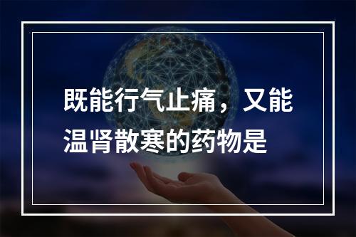 既能行气止痛，又能温肾散寒的药物是