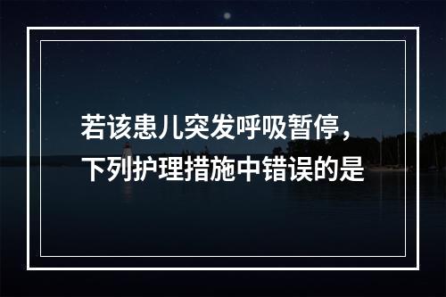 若该患儿突发呼吸暂停，下列护理措施中错误的是