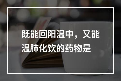 既能回阳温中，又能温肺化饮的药物是